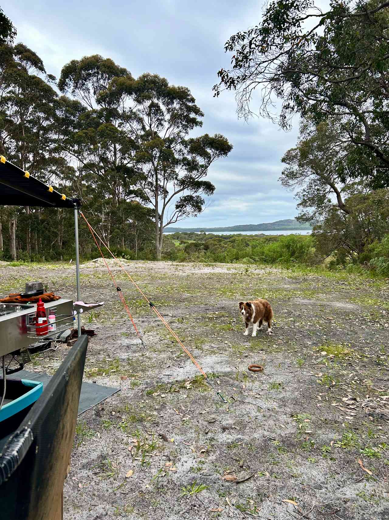 View over towards Irwin Inlet. 