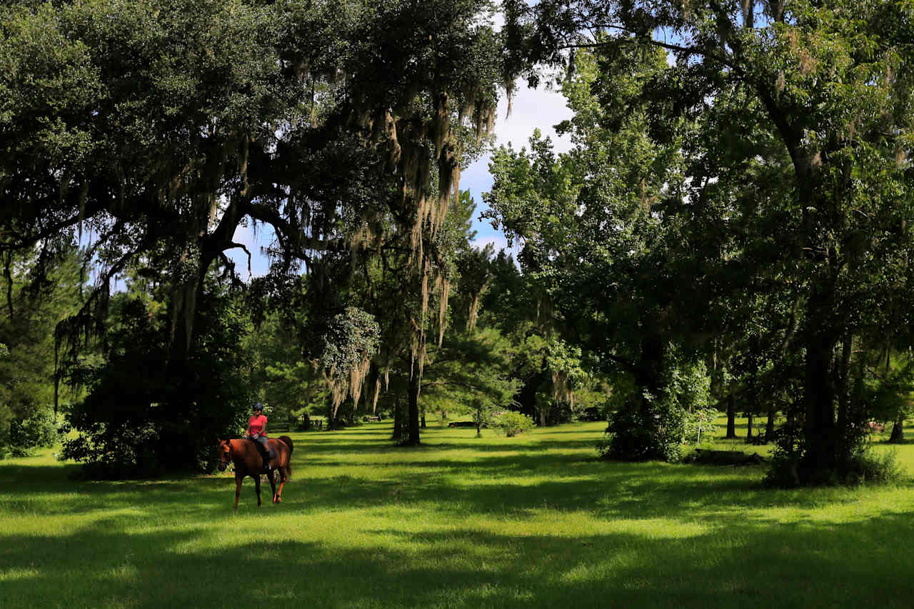 Pitch your tent under our oaks or rent one of ours.