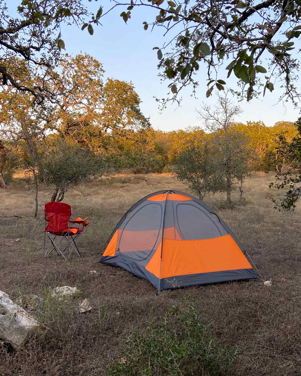 Wildflower Getaway