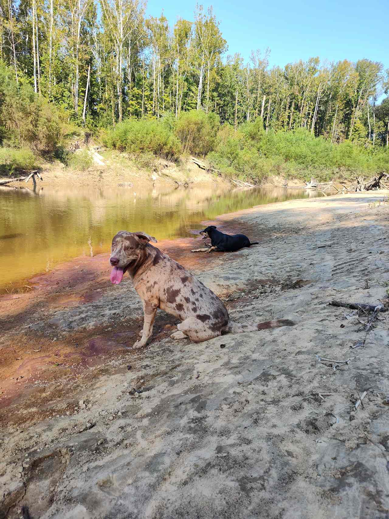 Leatherneck On Big Black River