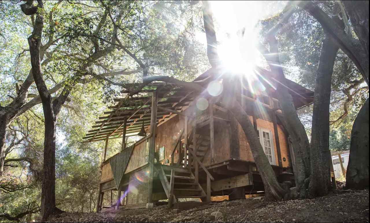 Topanga Oasis