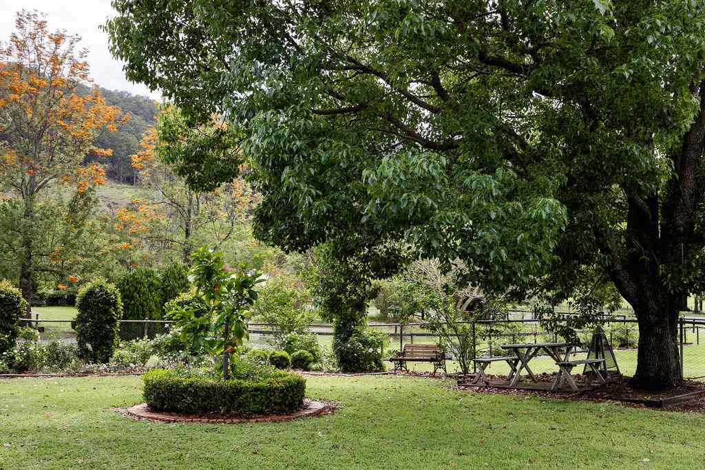 Cottage On Lamington