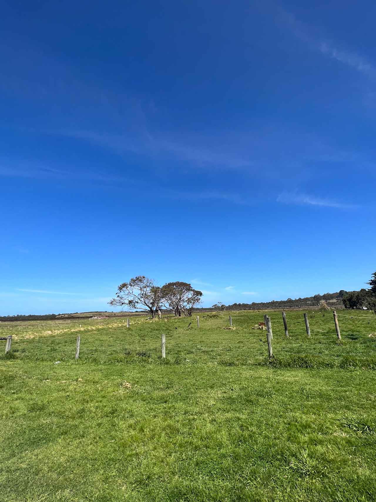 Front Acre of Farmhouse & Land!