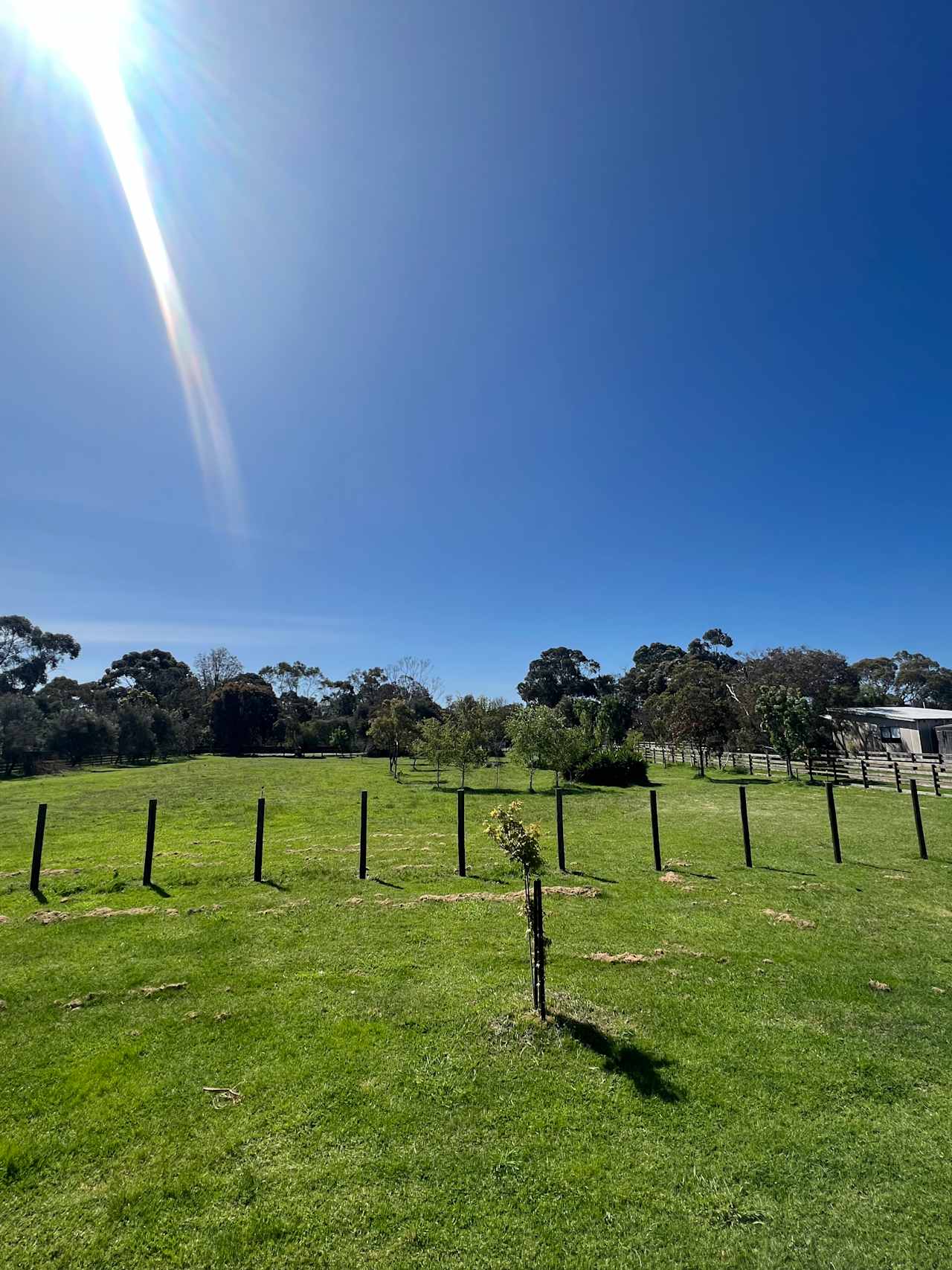 Front Acre of Farmhouse & Land!