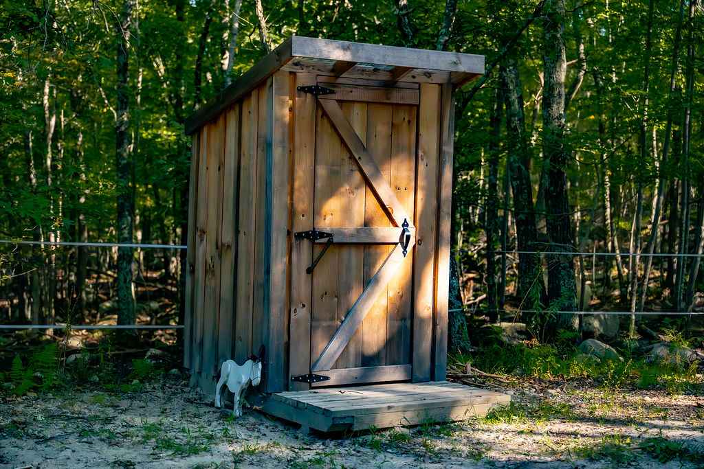 Glamping with the Wild Horses