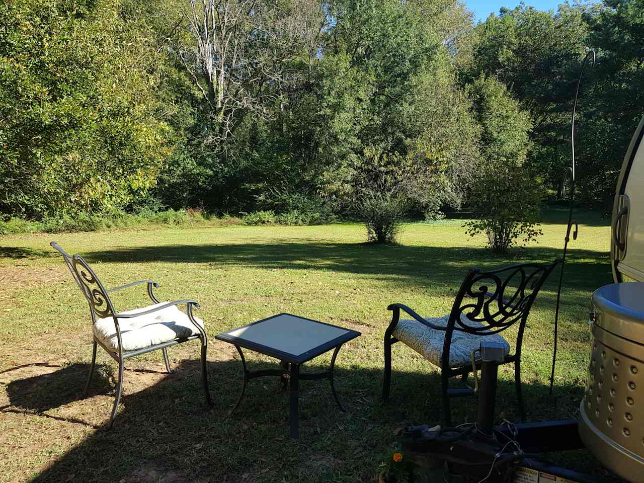 Your private meadow with bird feeding station. 