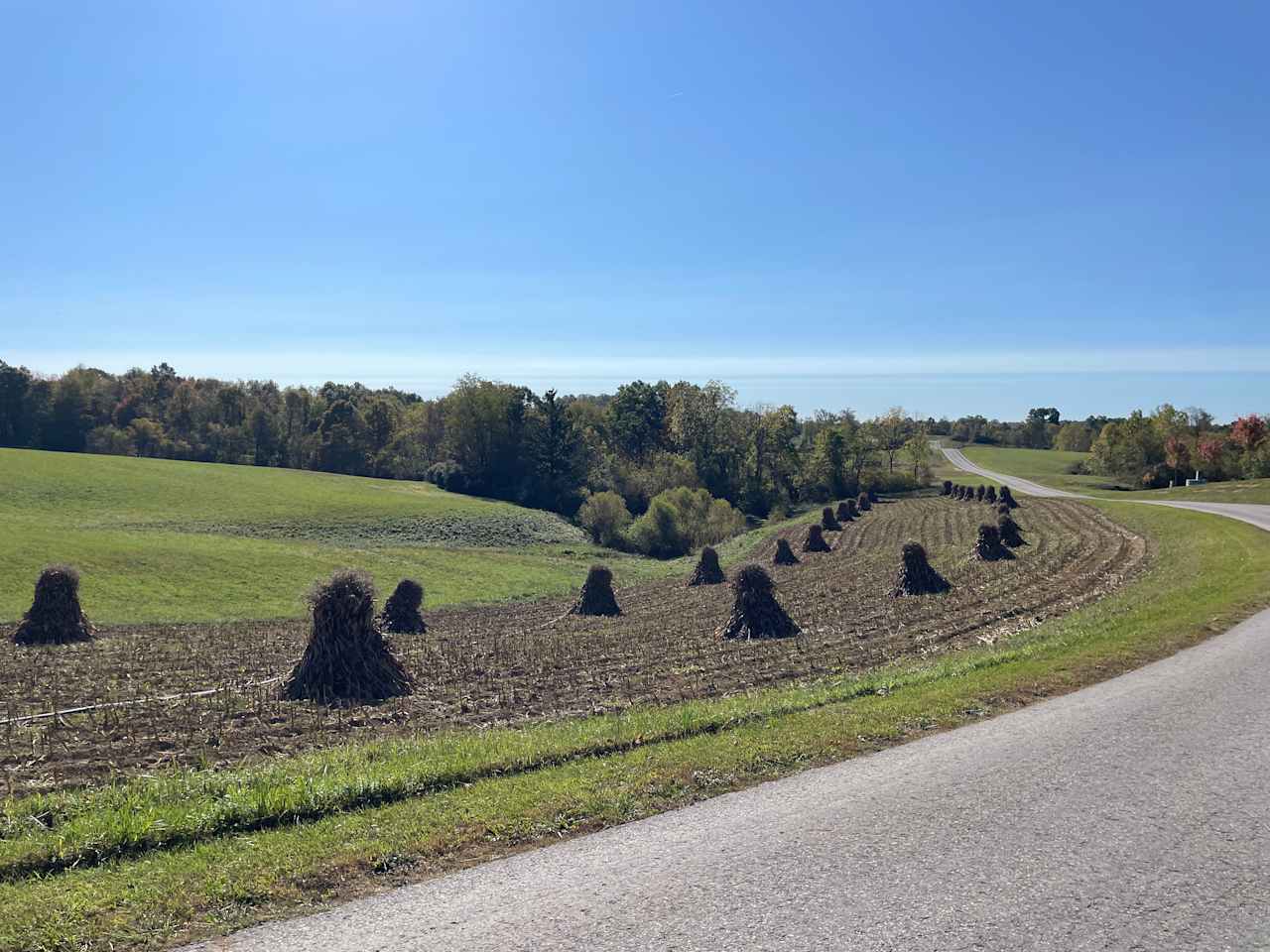 Amish Farm Campsite at Chesterhill