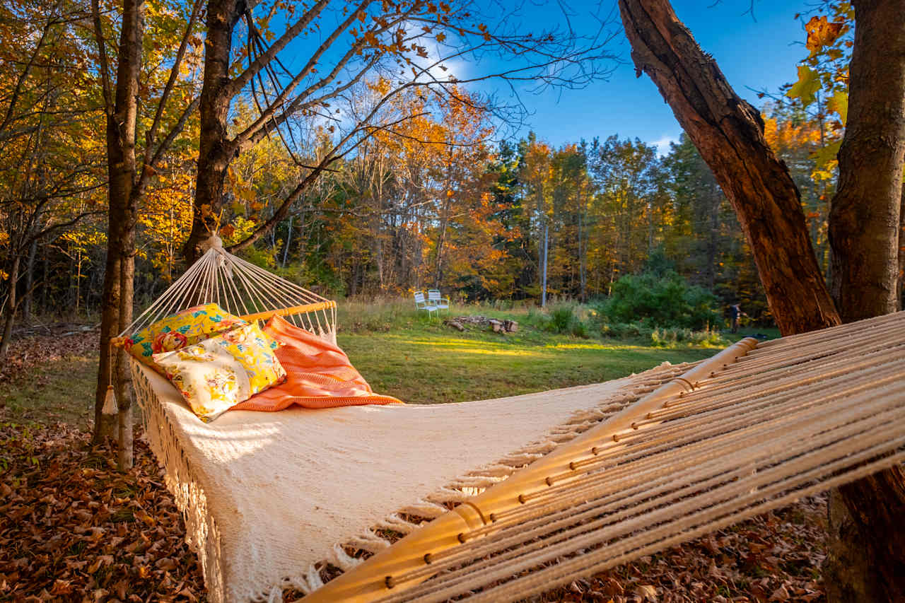 Cozy hammock.