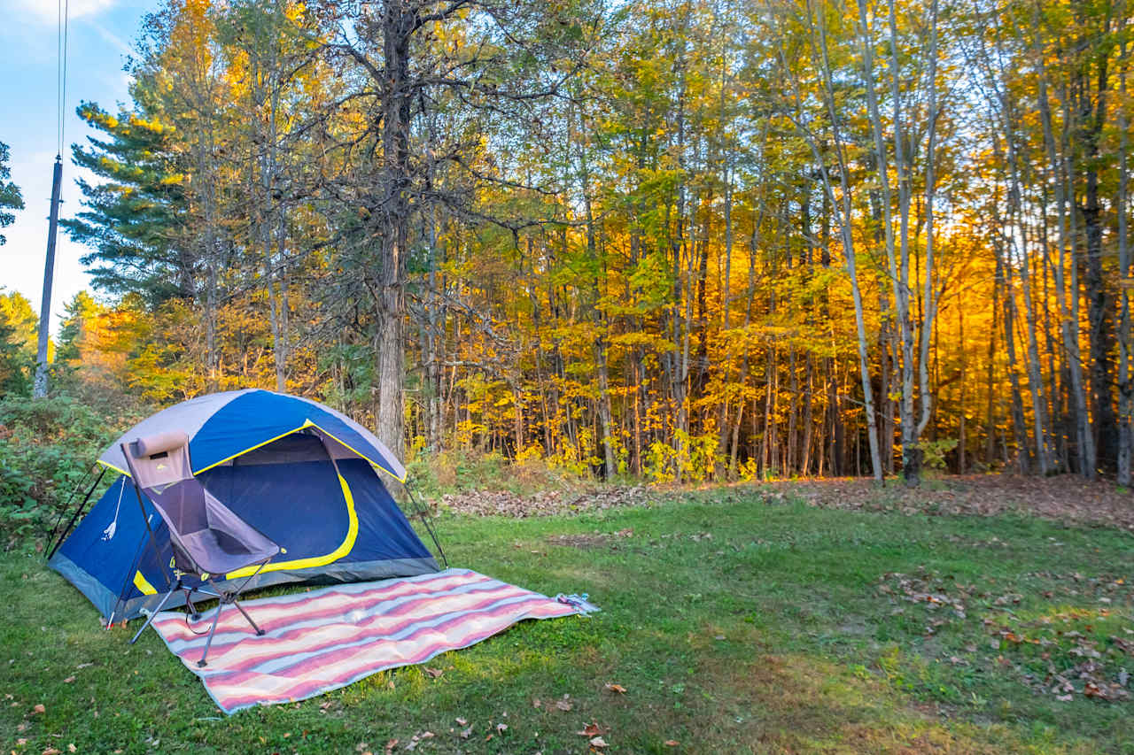 Surrounded by trees.