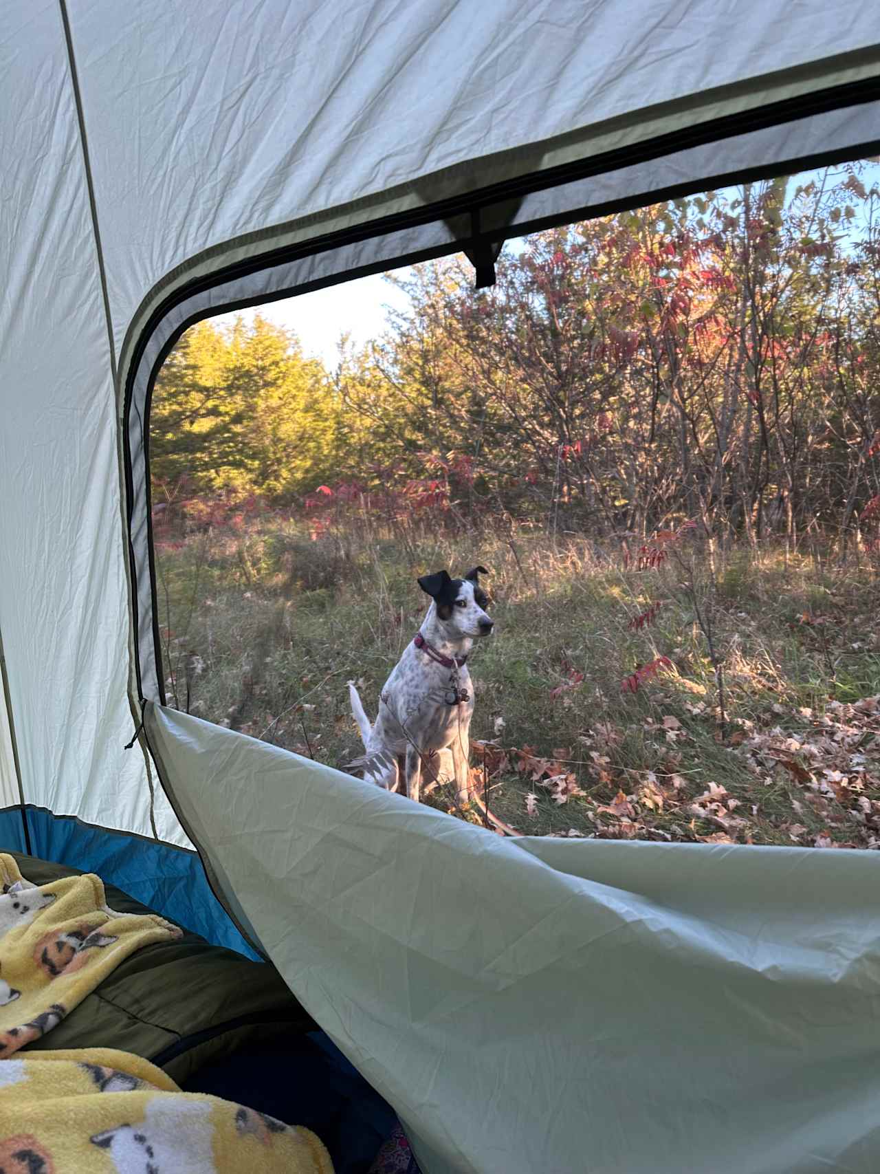 RV/Camper Parking 10min To Kingston