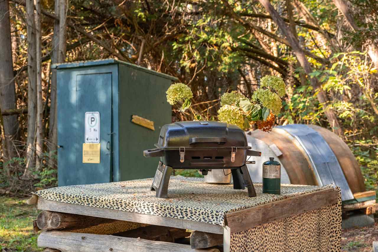 Little grill and picnic table.