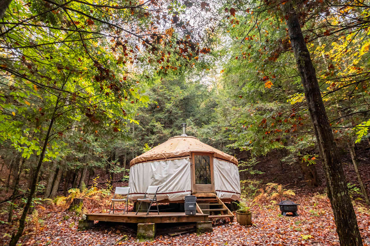 Pretty yurt in the woods.