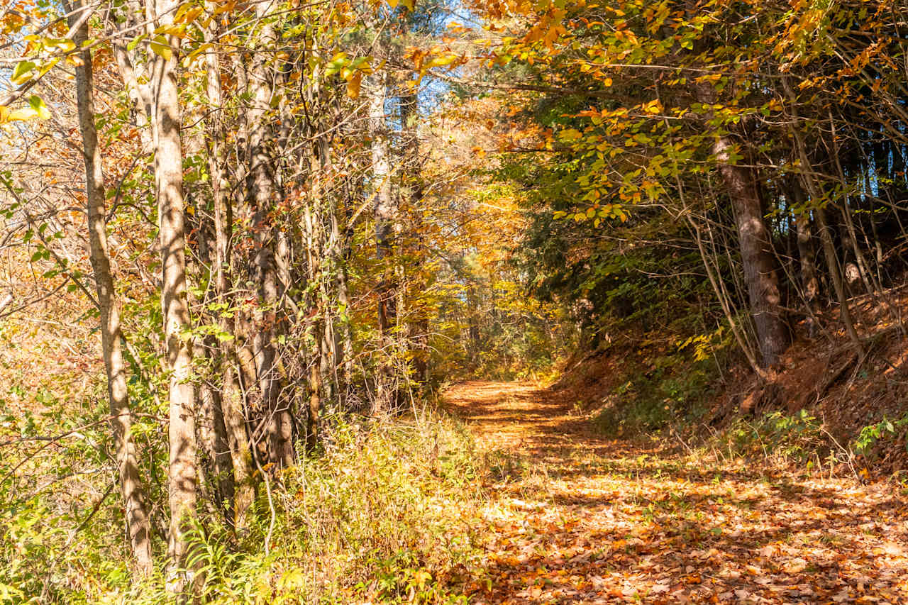 Paths for exploring.