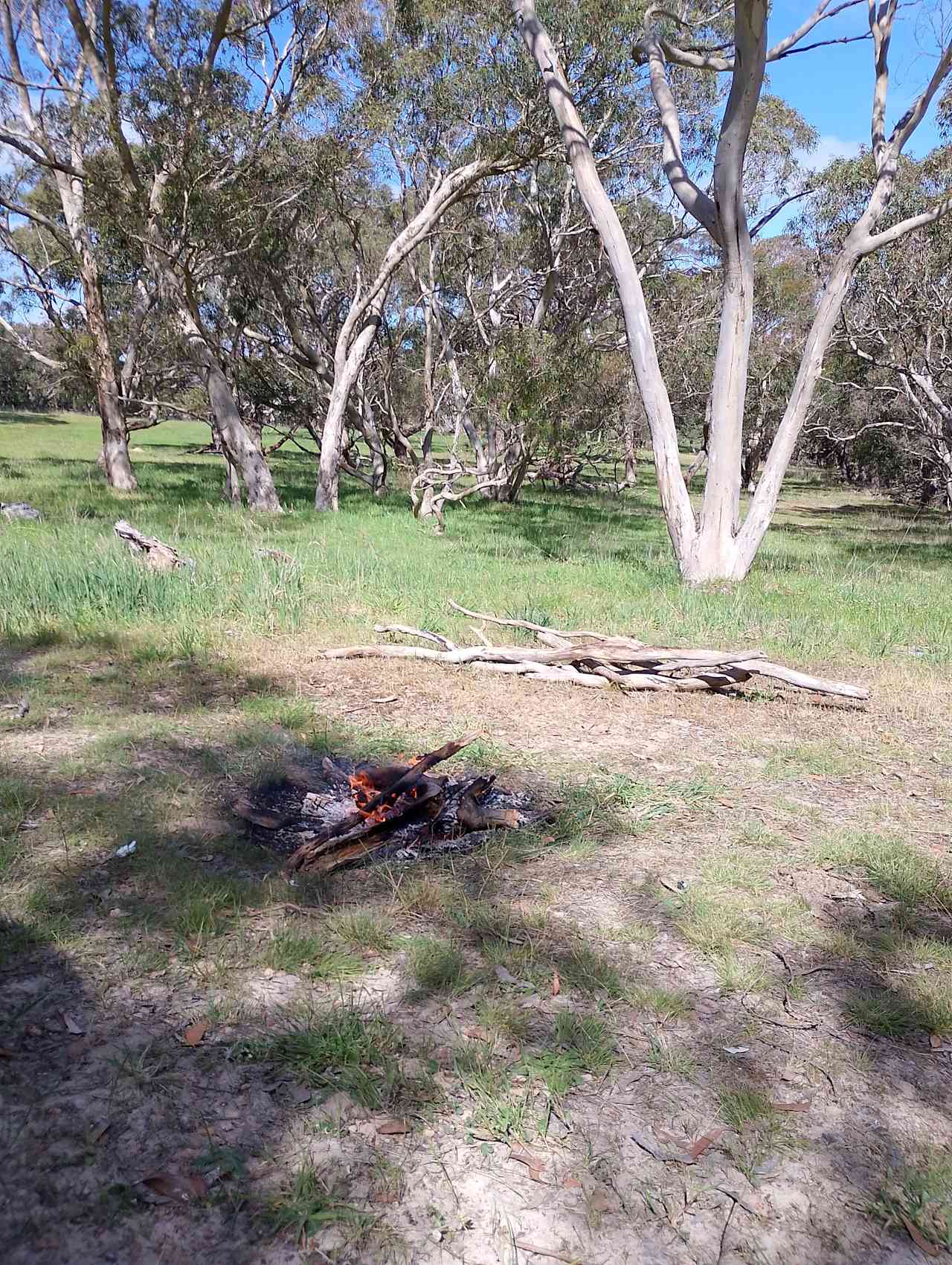 Gum Park Beef Farm