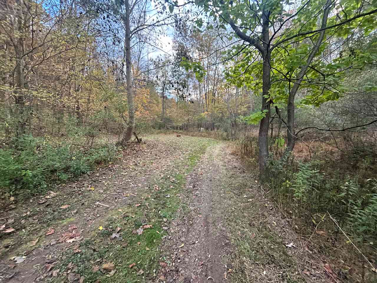 Wilson’s Boondock Hollow