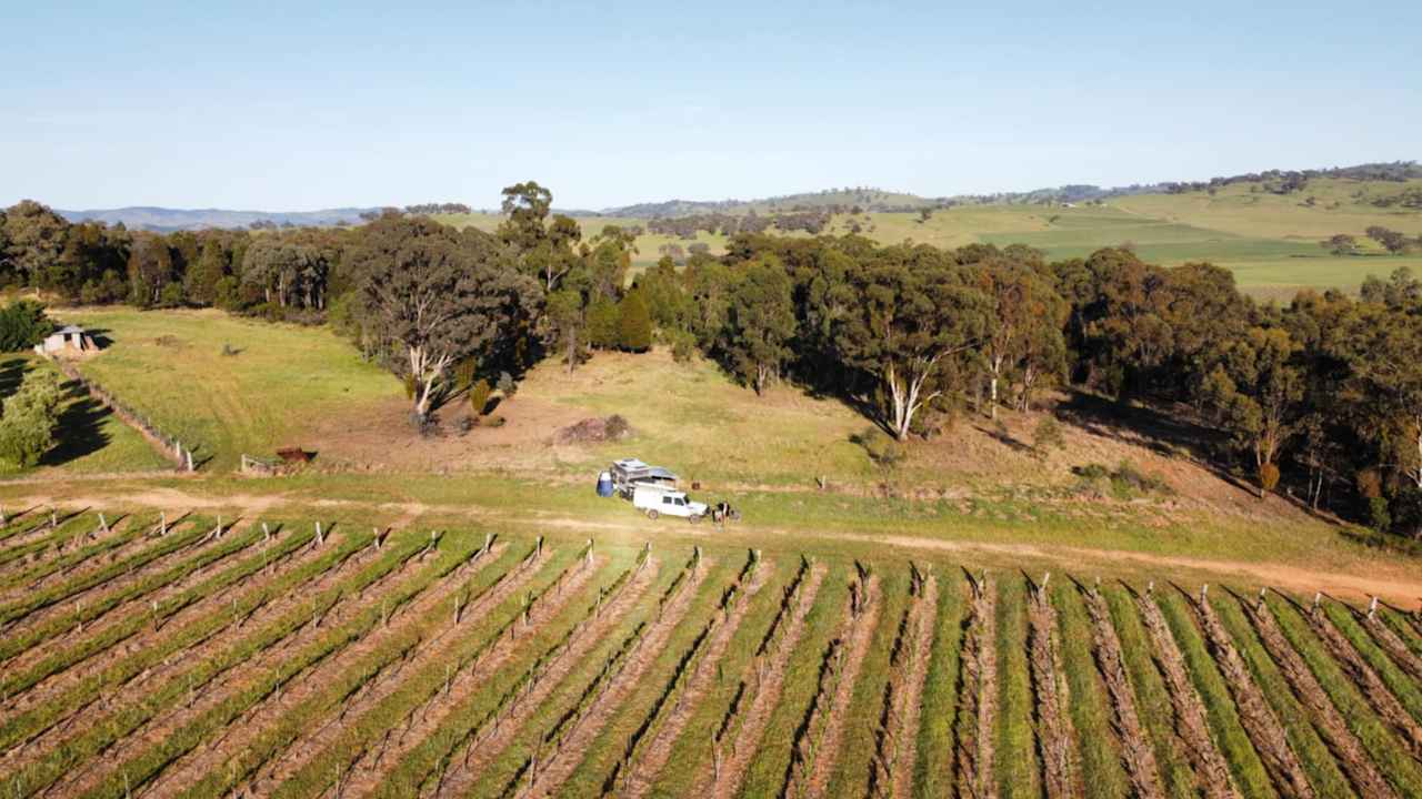 Vans in the Vines Mudgee