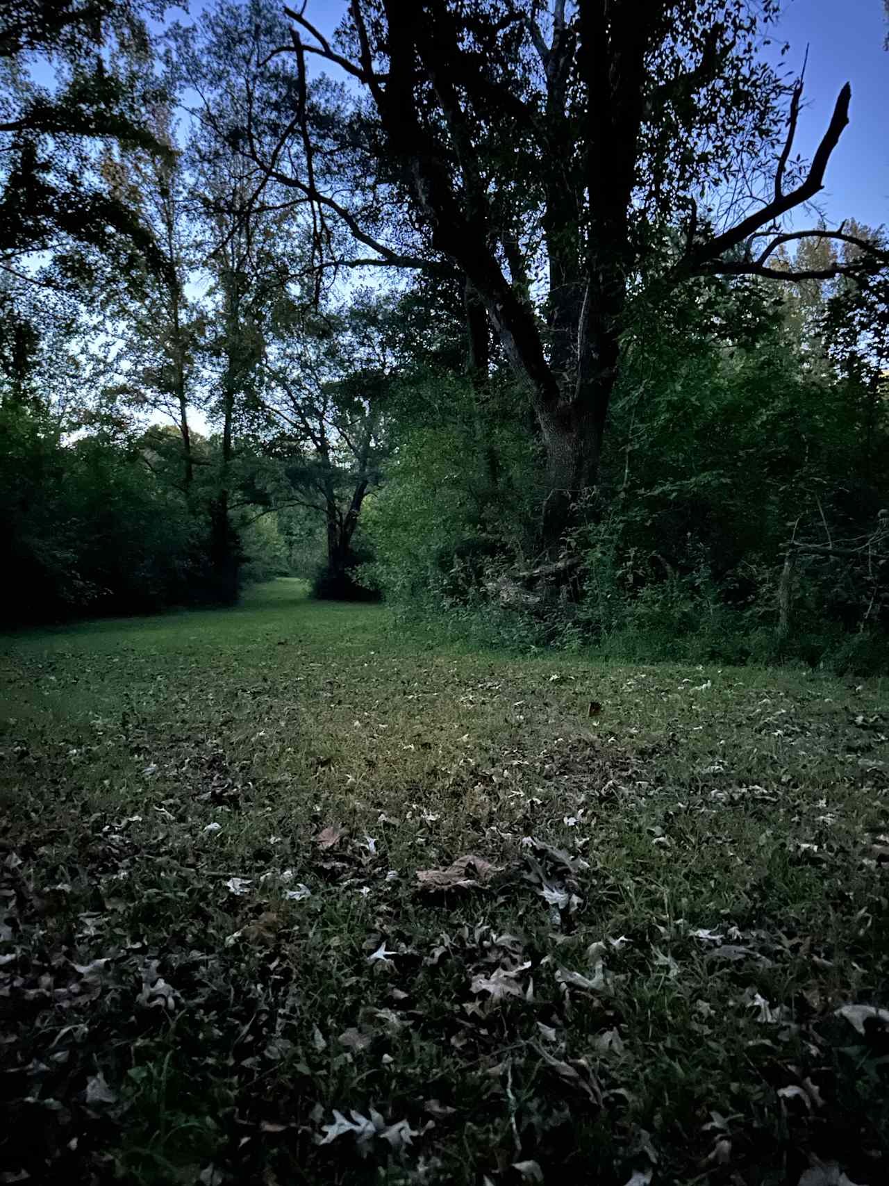 Open large grass fields near pond