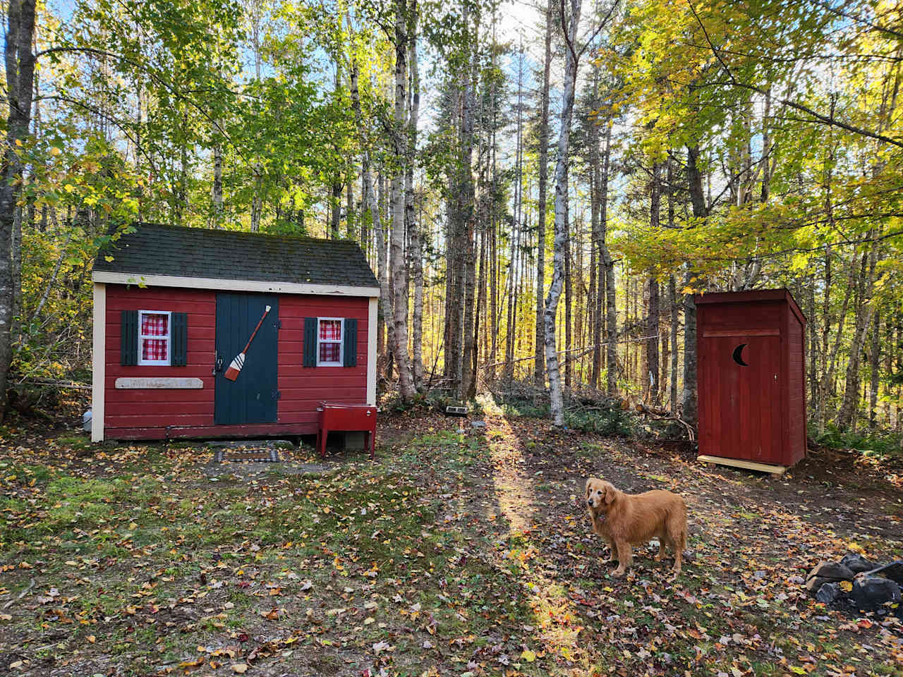 Twin Bucks Cabin 🦌🦌