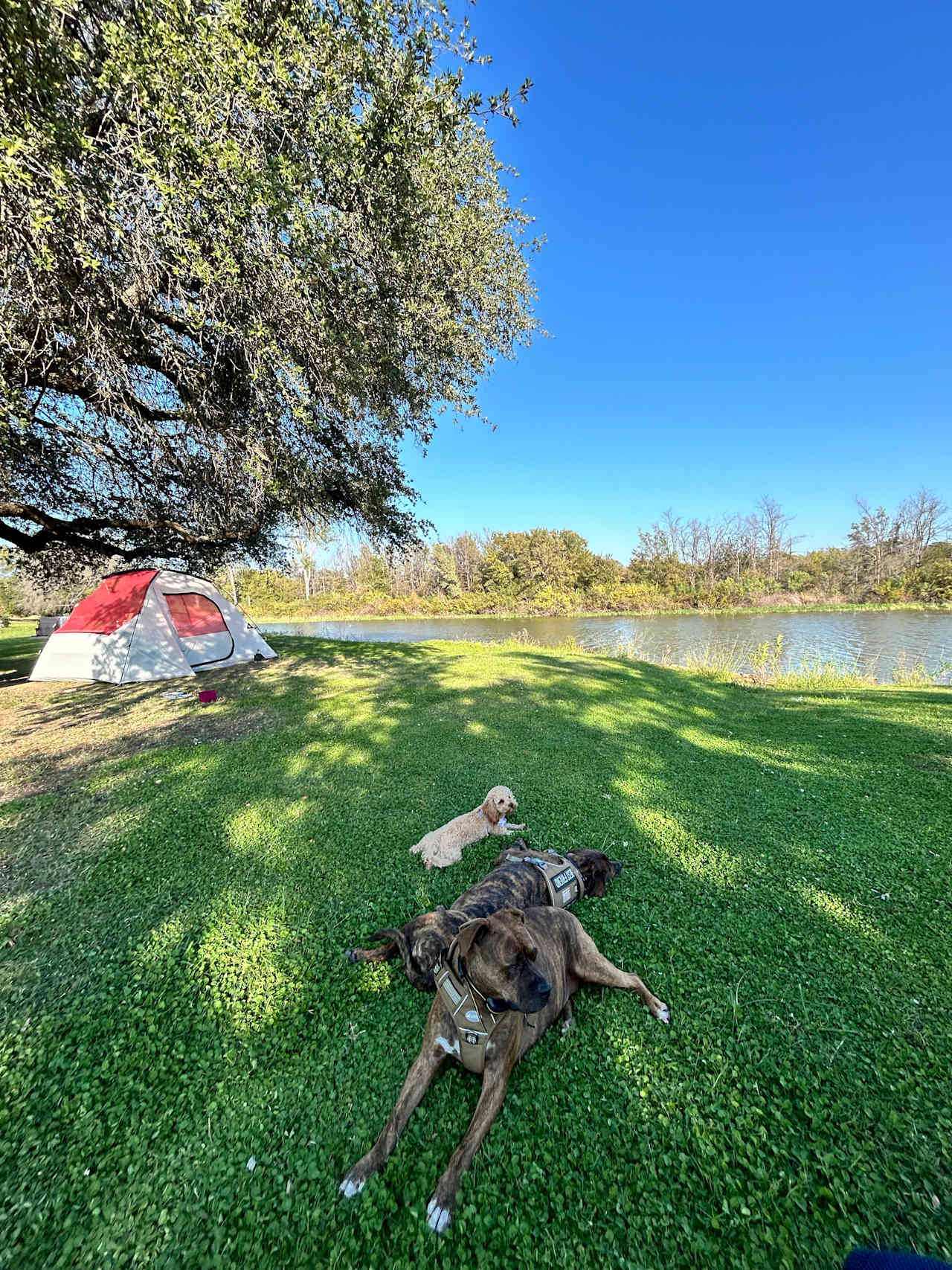 Lake Palo Pinto RV Park