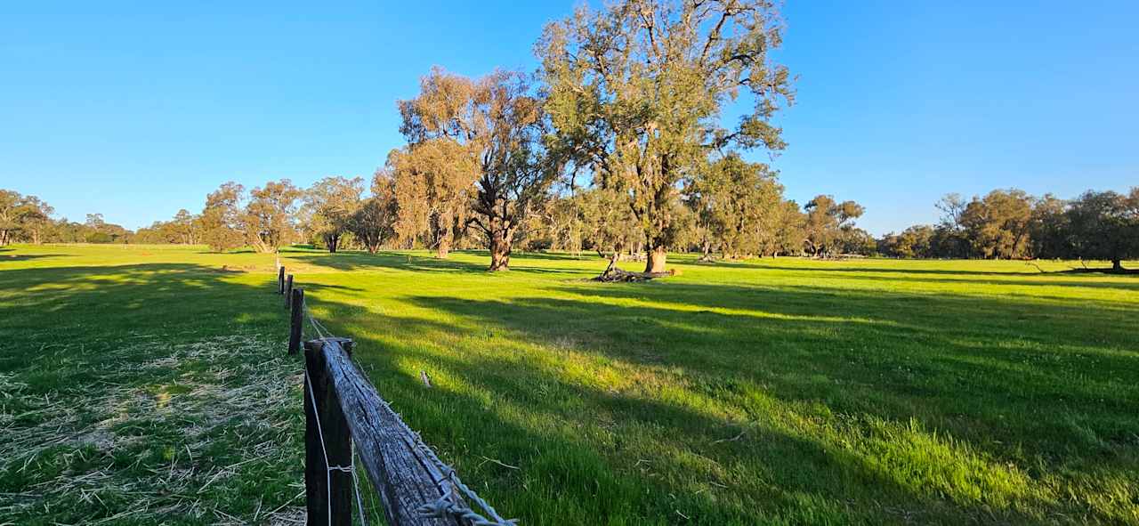 Another view of The Paddock campsite in the afternoon 