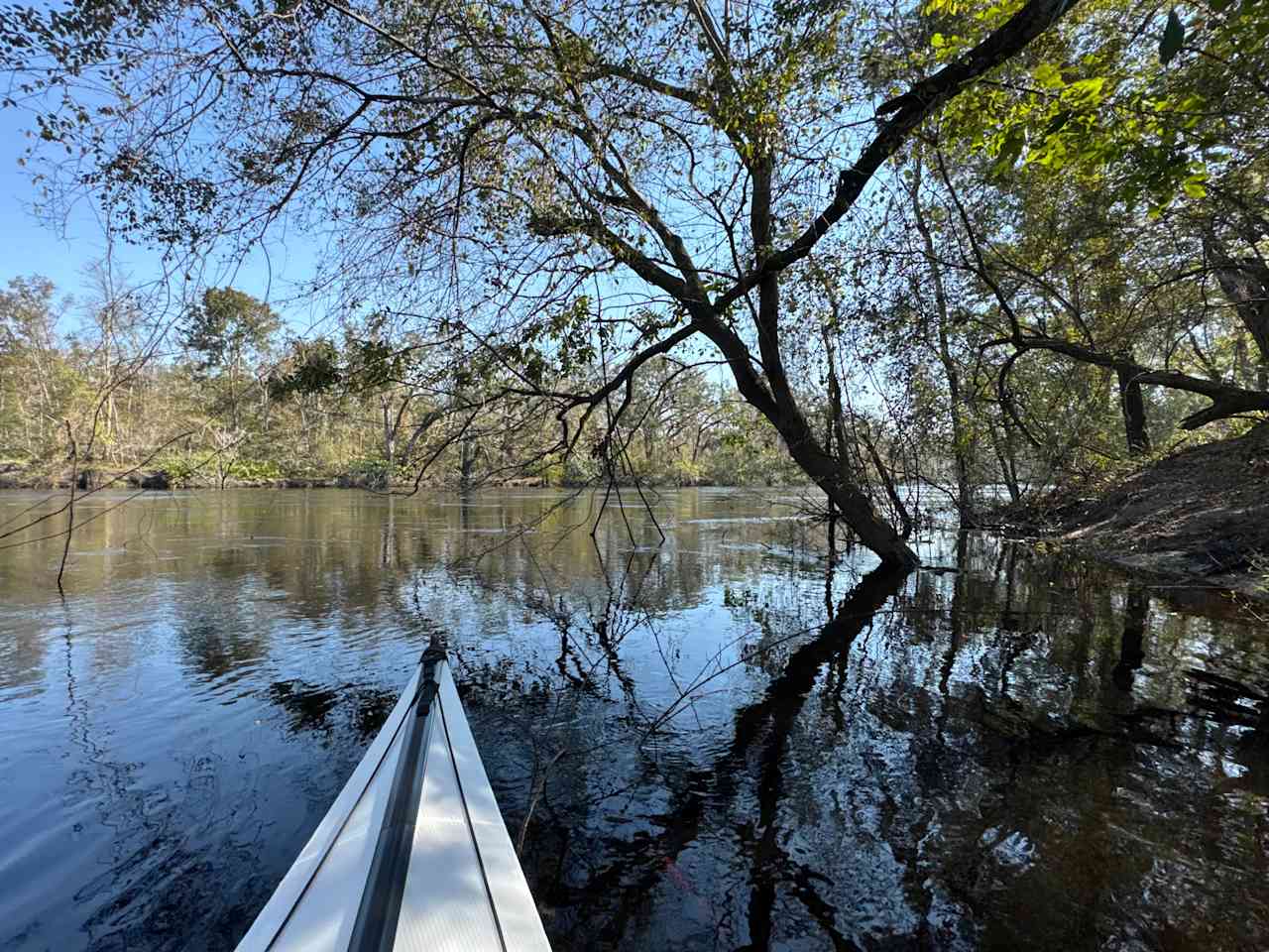 On the Suwannee