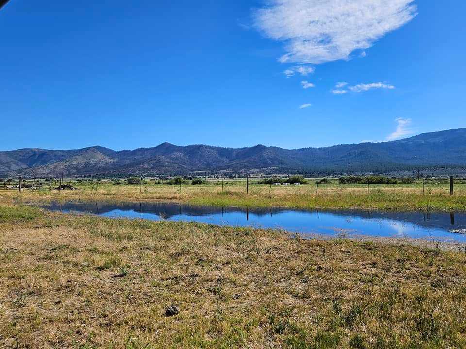 JD Hemphill Ranch Corner