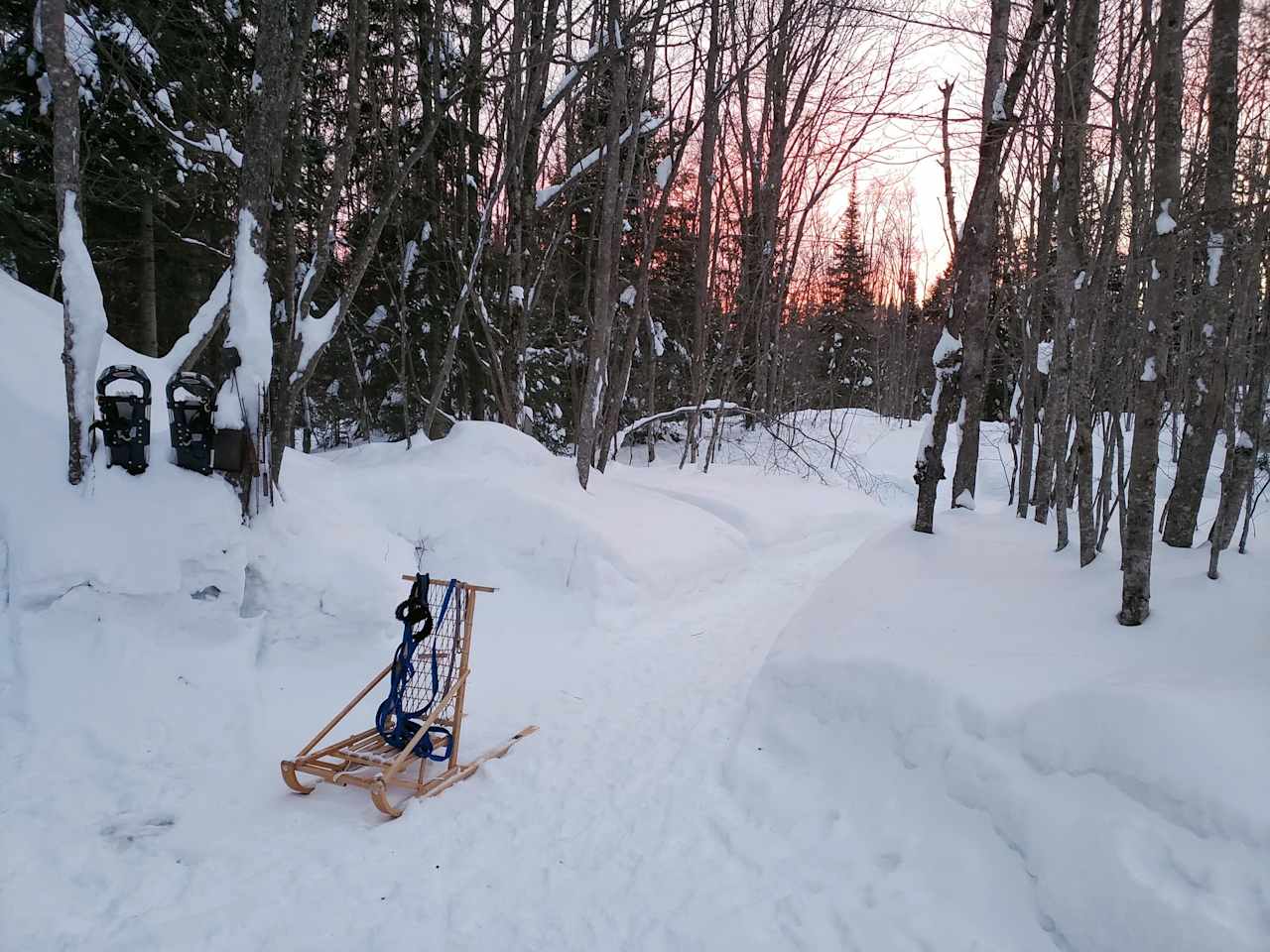 Winter path to cabin.