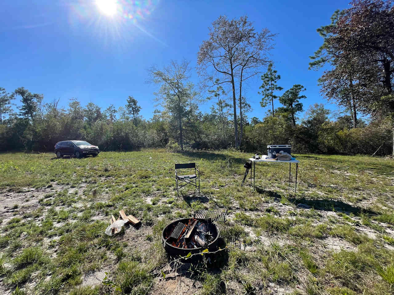 Iliana Acres Primitive Campsite