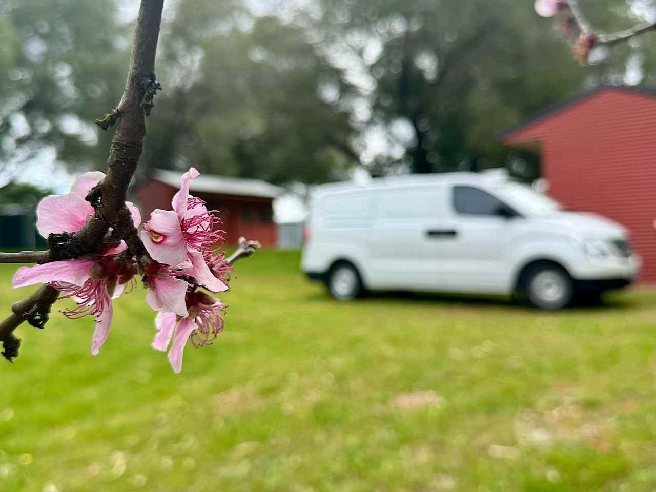 With wildflowers and greenery at every turn, this campsite feels like a hidden escape into nature, simple and peaceful.