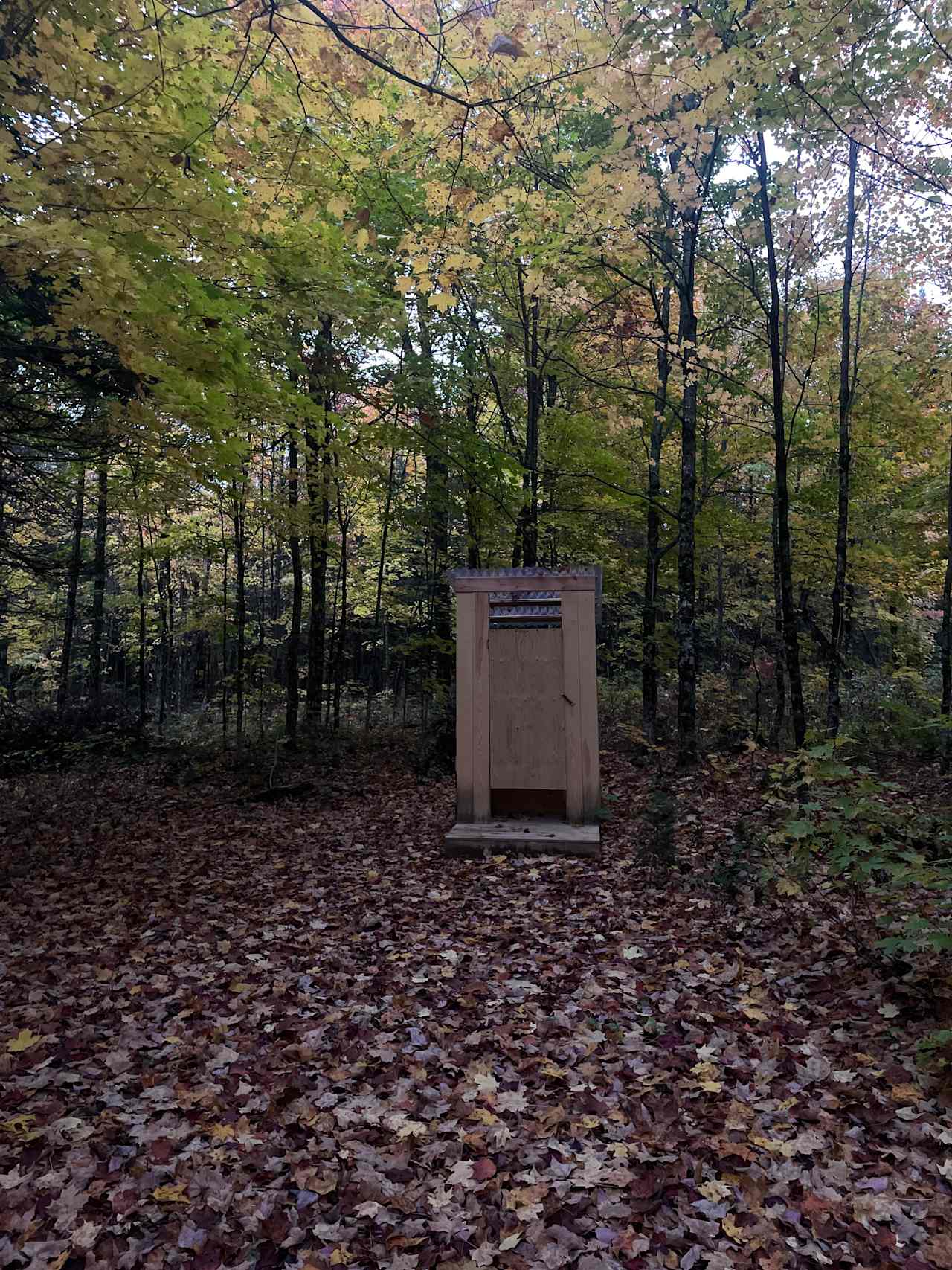 Velvaere - Teahouse in the Woods