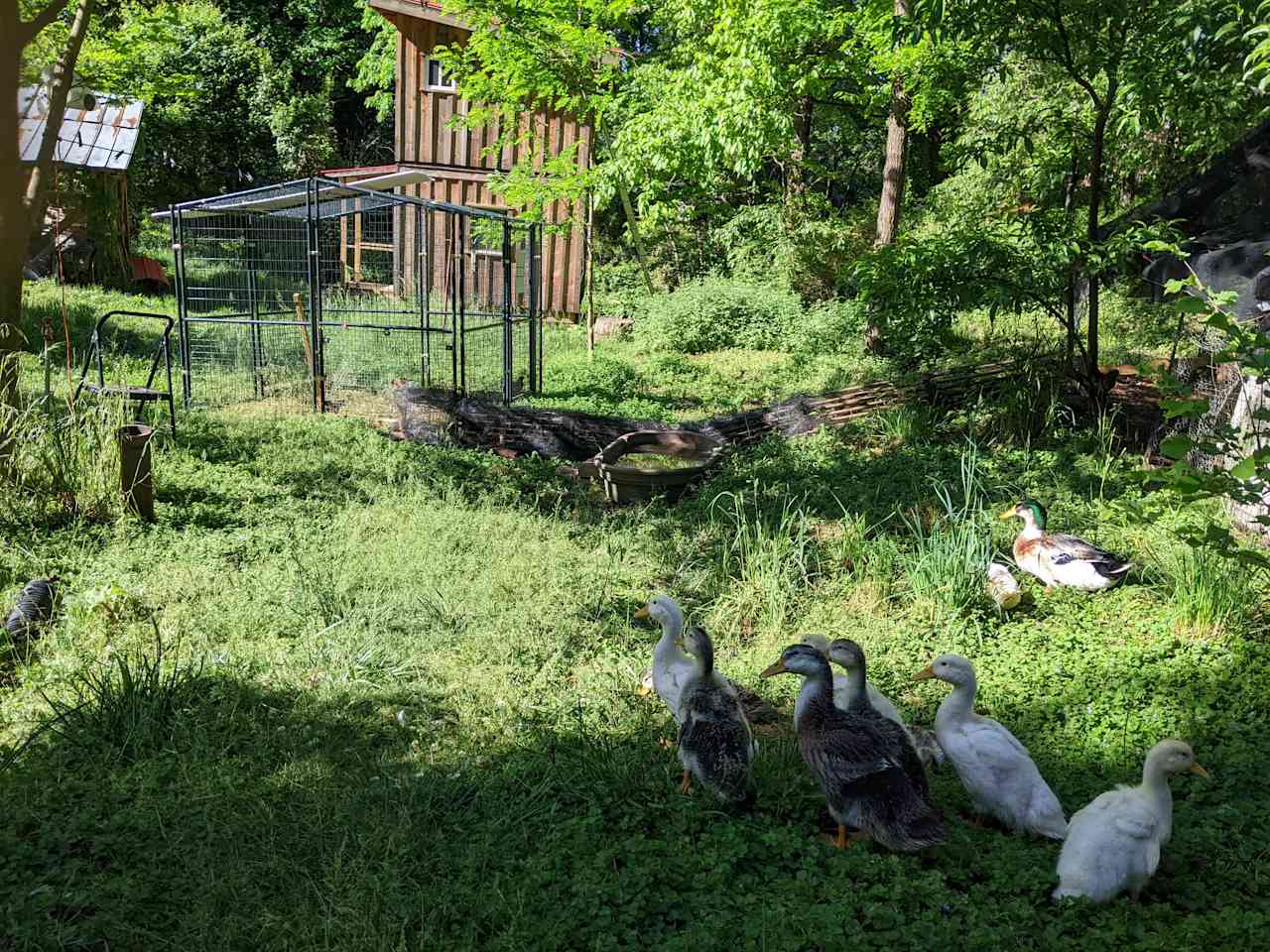 West Asheville Homestead