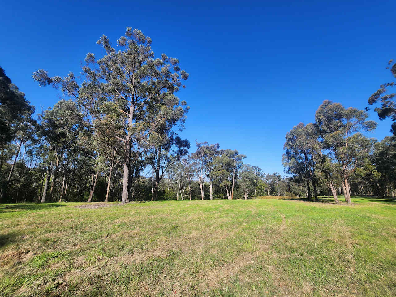 Tambo Trailside Paddock