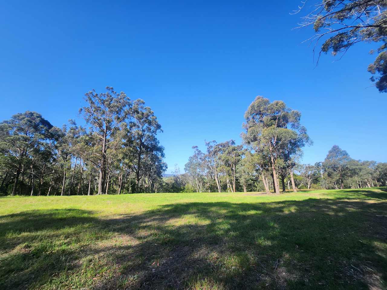 Tambo Trailside Paddock