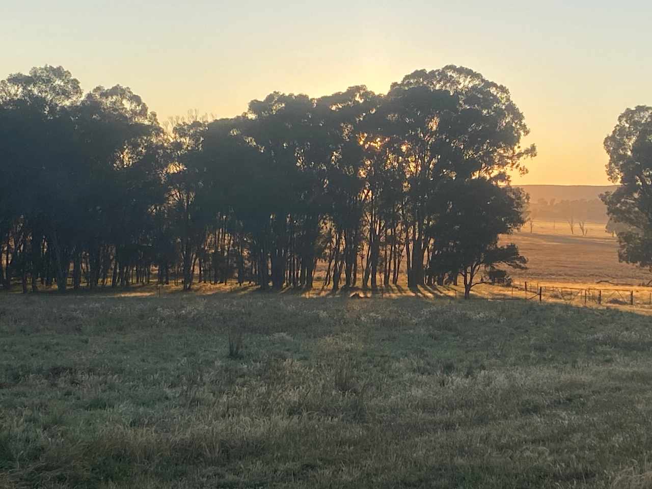 Burrill Creek Camping