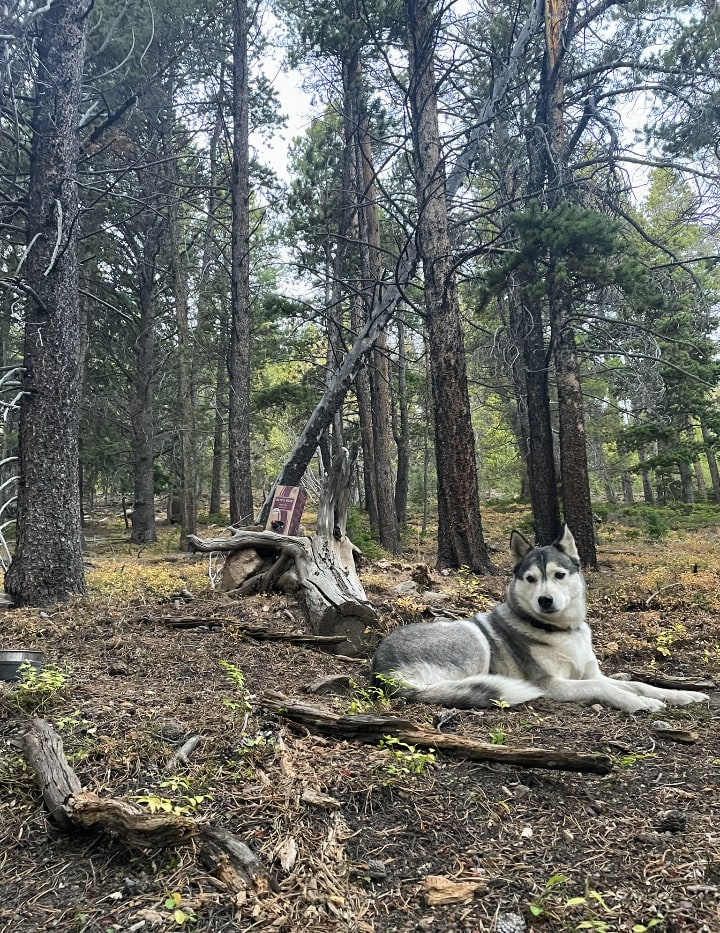 The Continental Divide Corner