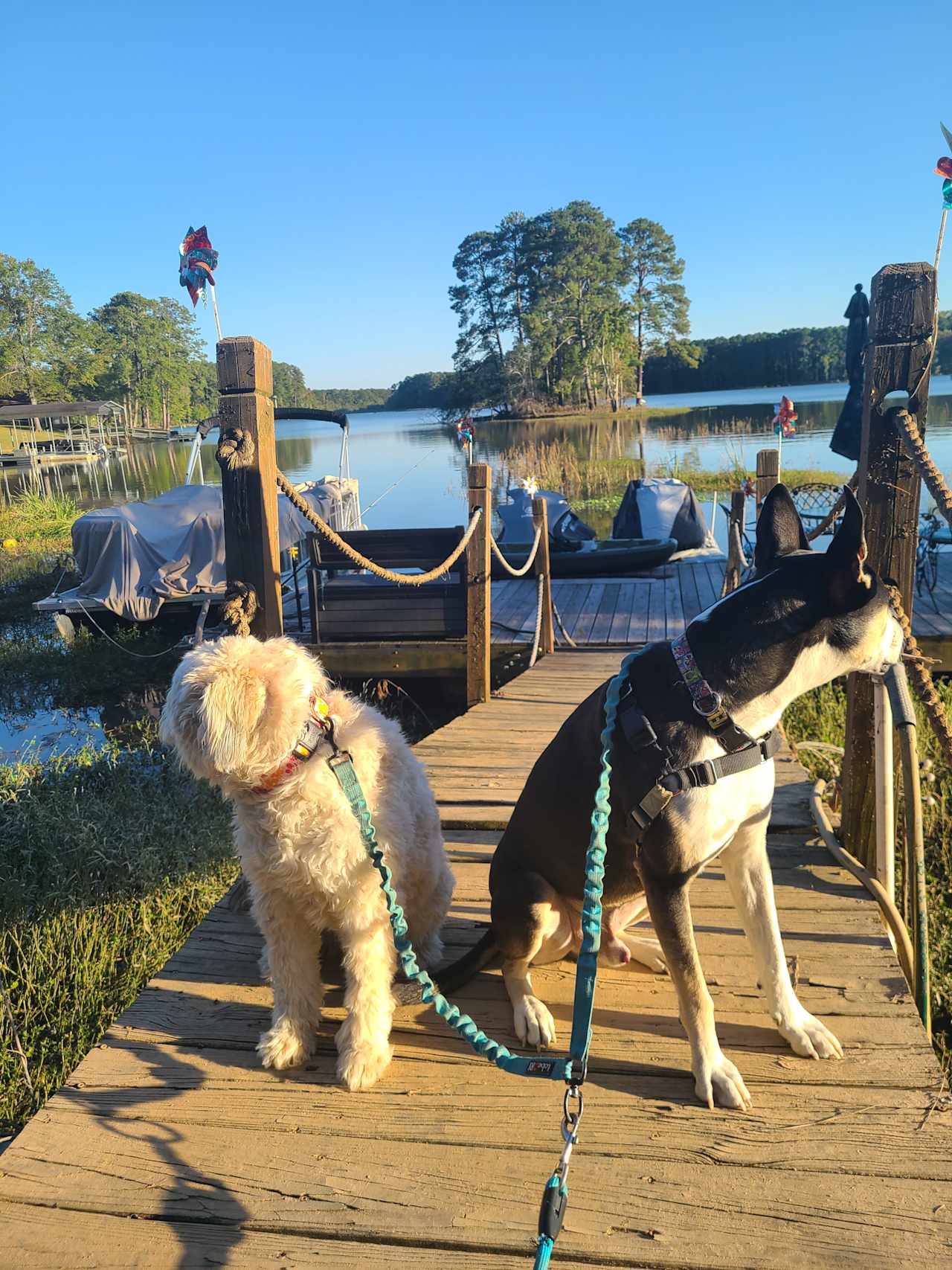 Beautiful Lake Camping