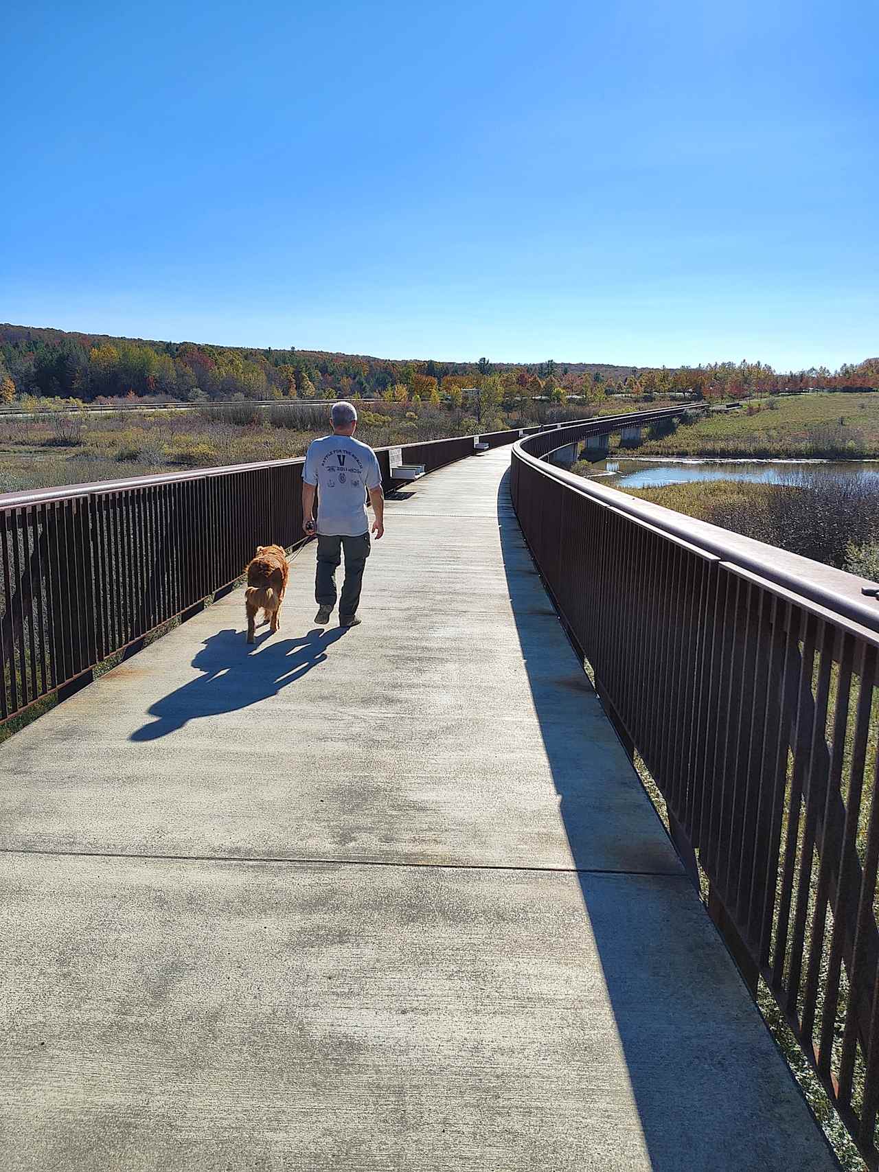 Memorial Bridge, Flight 93 