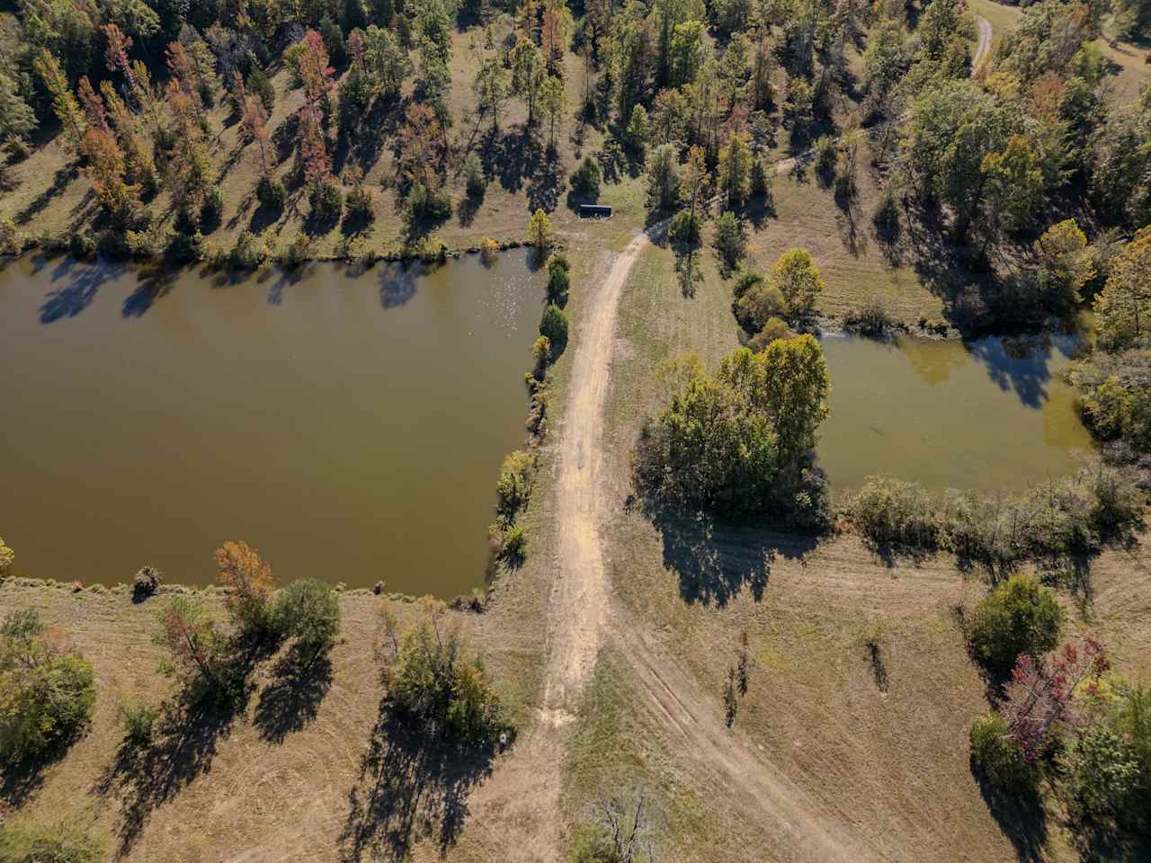 Moss Lake Camp And Sniffspot