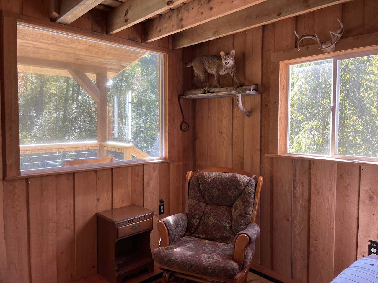 The Coziest Cabin on Earth!