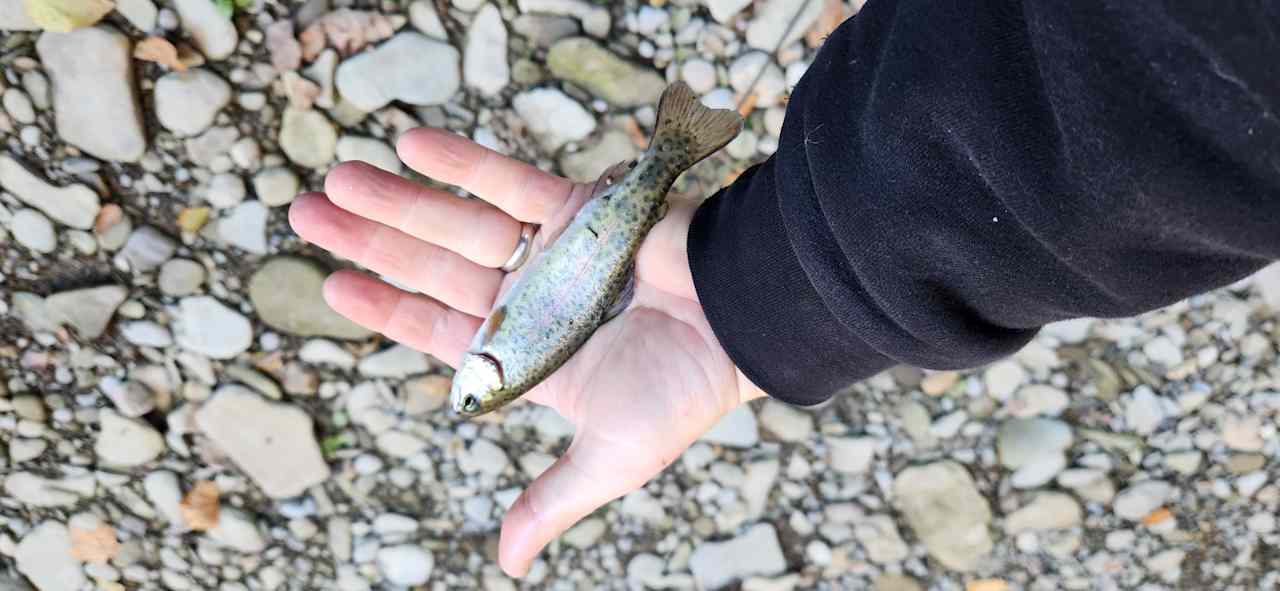 Steelhead Run Recreation Area