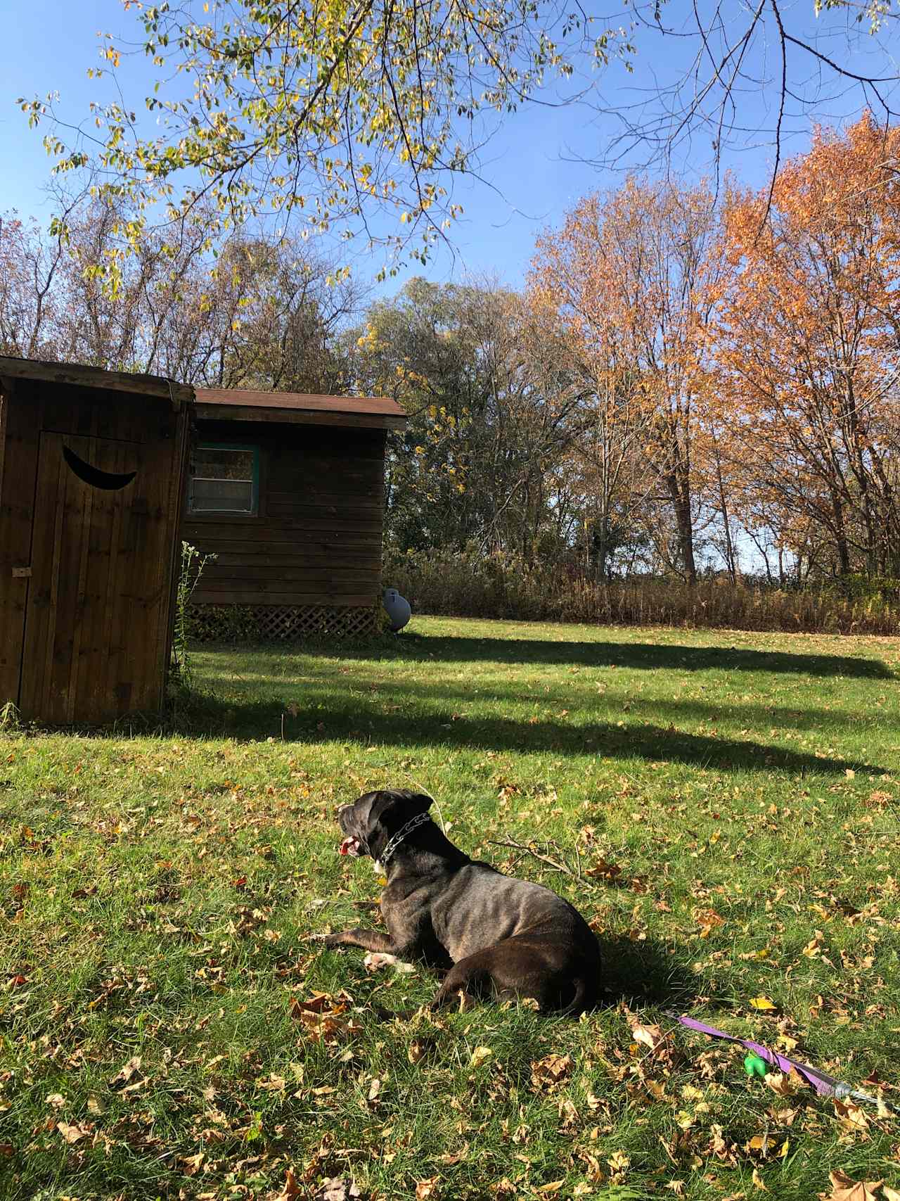 Driftless Retreat 🍃 🎶 📚