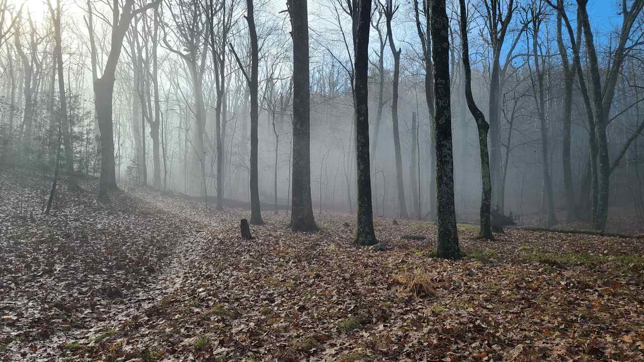 Blue Ridge Beech Camp And Cabin