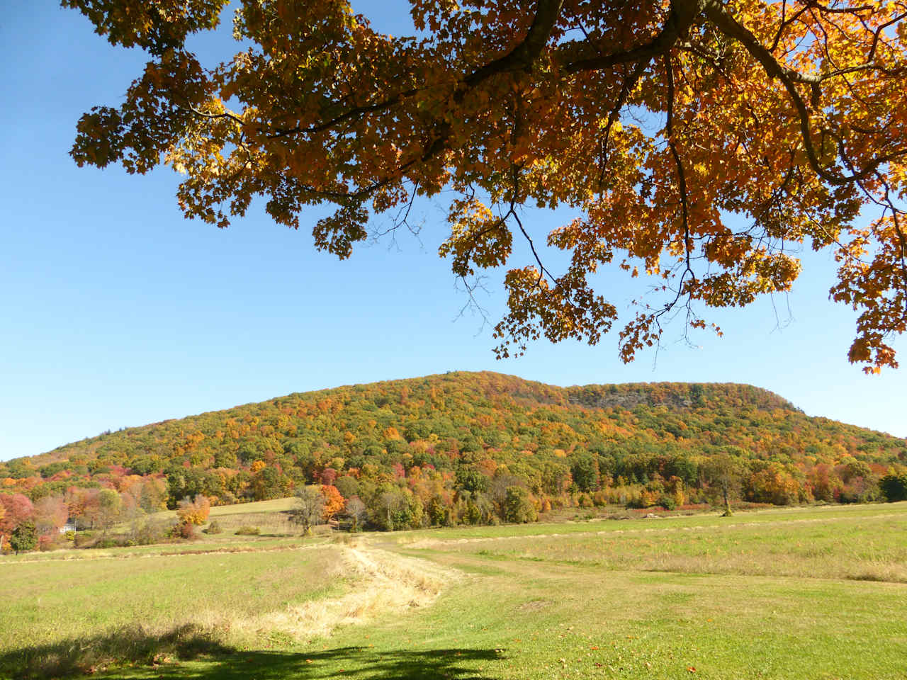 North Sugarloaf Mountain in autumn colors and old farm road leading to hillside pasture.