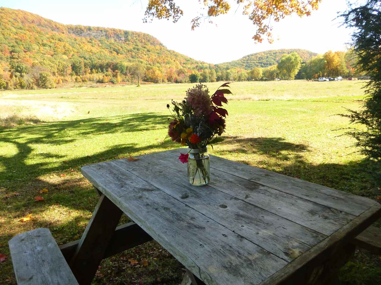 Fall view of Mount Sugarloaf and North Sugarloaf Mountain from picnic table with flowers at campsite.