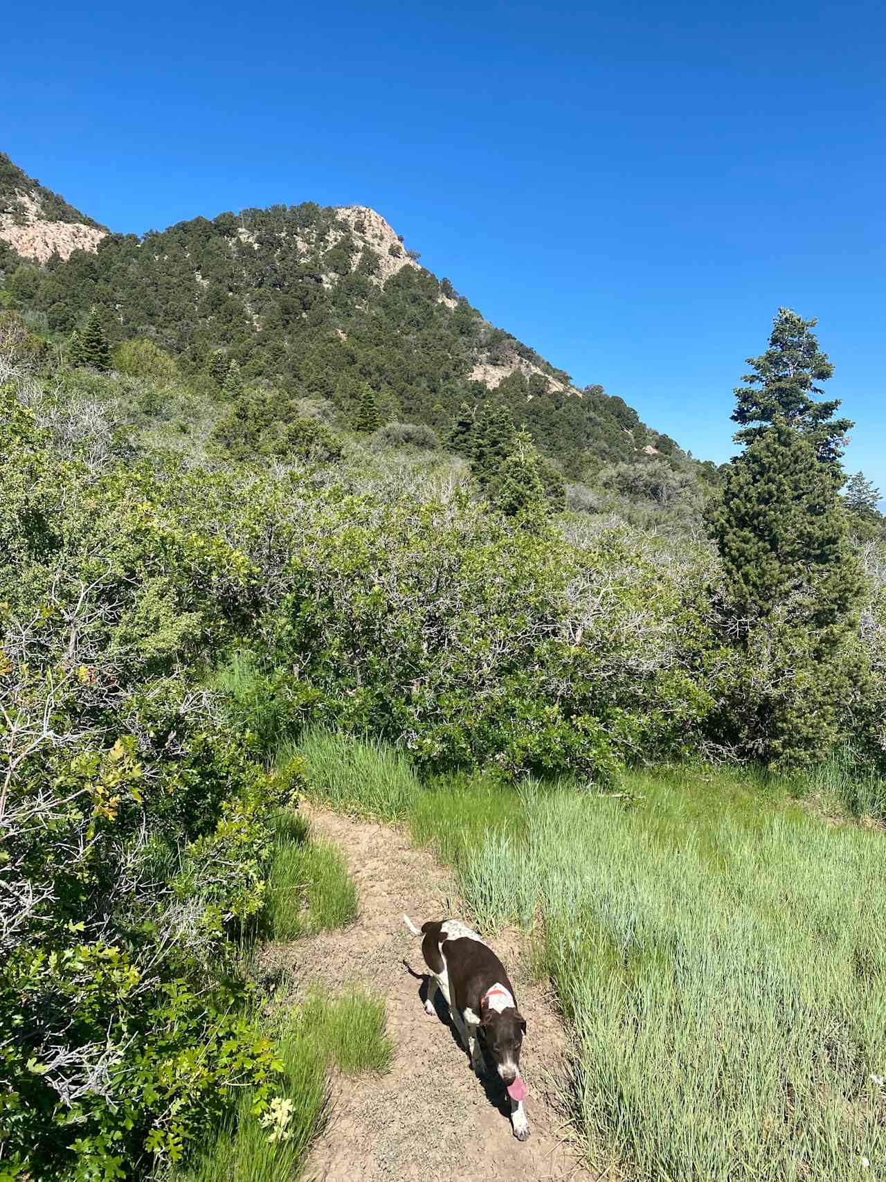 Nearby hikes