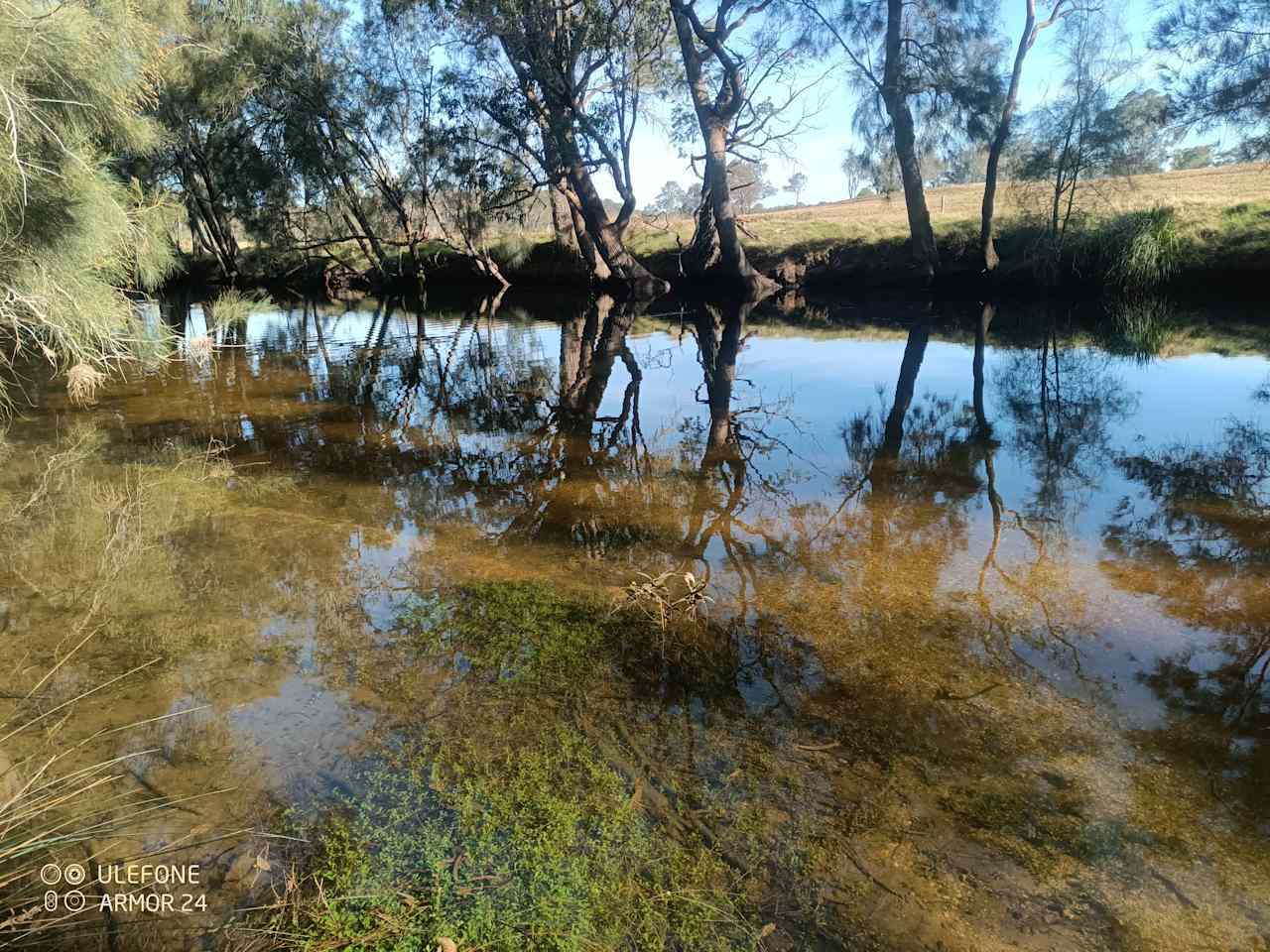 Tidal Creek at the border of the property.