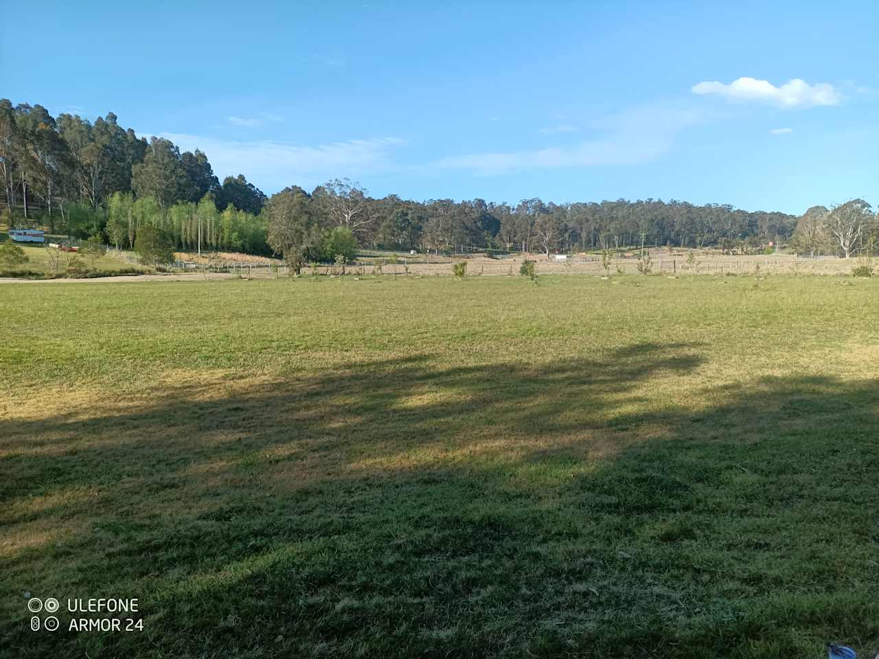 View looking at Mogo Zoo from Site 2.