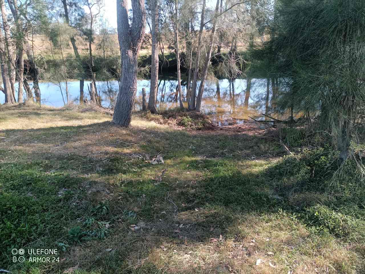 Mogo Creek Homestead