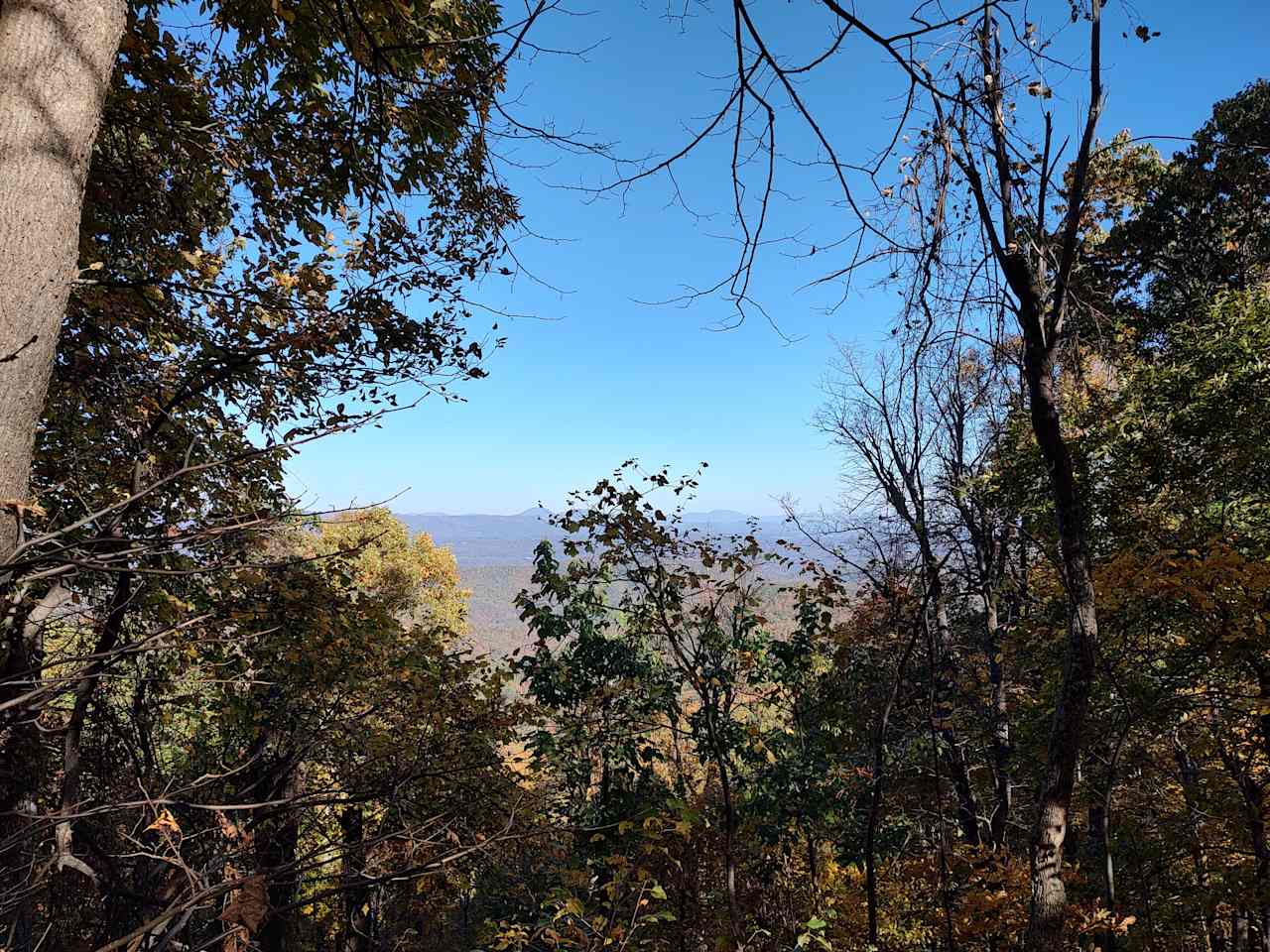 The view from Wildcat Mountain Trail. Don't try to hike the whole trail unless you're in pretty darn good physical condition!