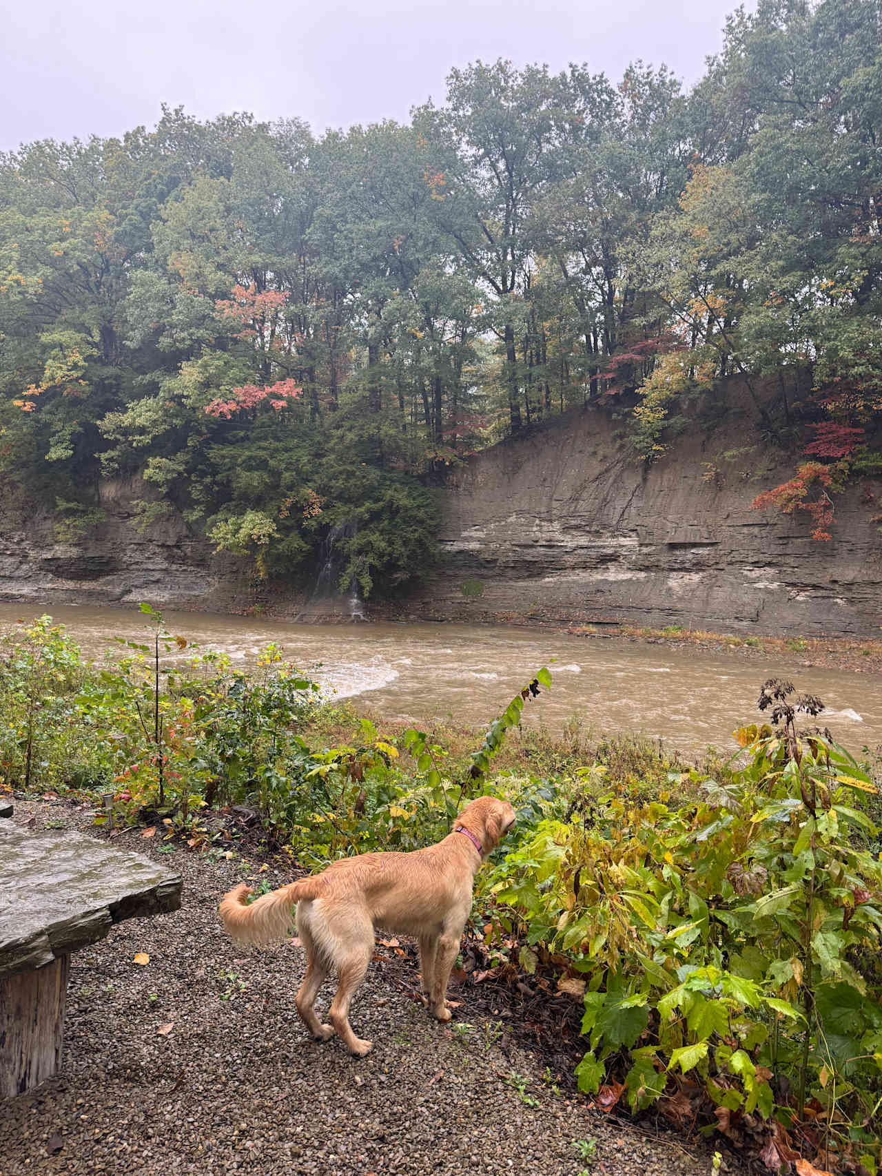 Elk Valley Creekside